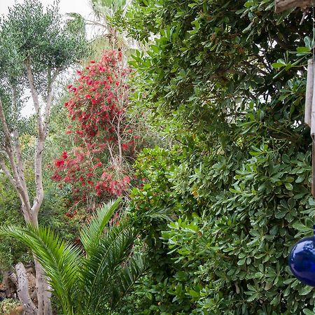 Homey Suite In Zichron Yaakov Zichron Ja’akow Zewnętrze zdjęcie