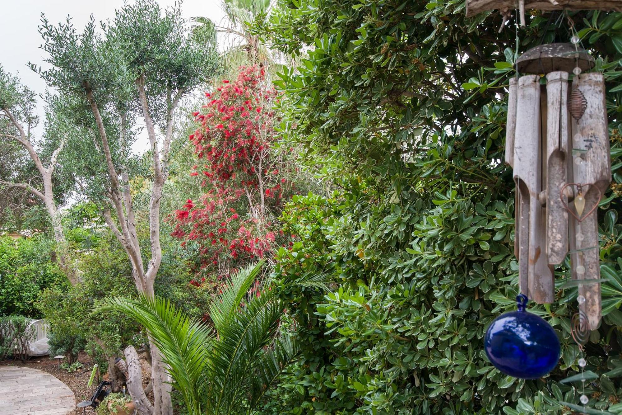 Homey Suite In Zichron Yaakov Zichron Ja’akow Zewnętrze zdjęcie